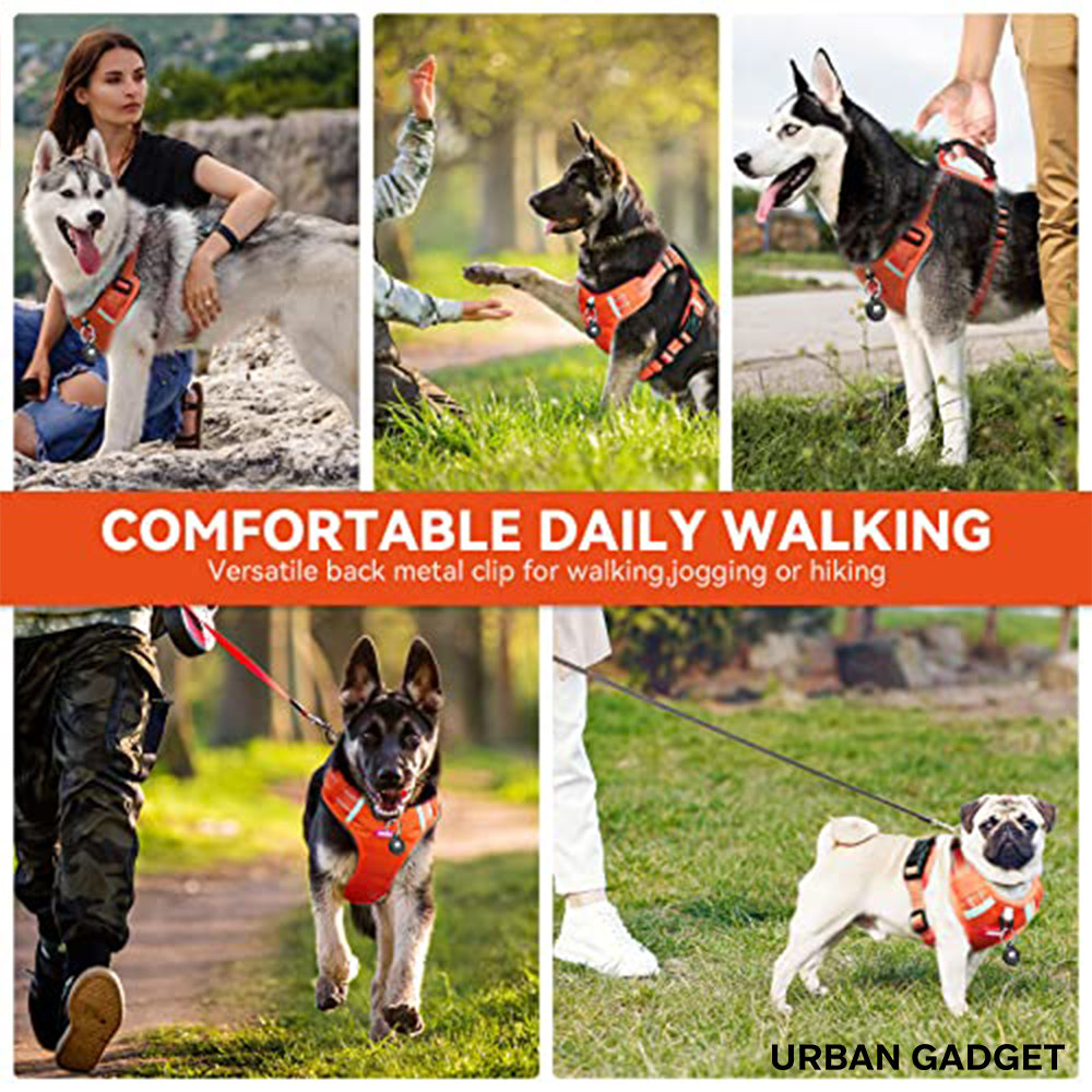 Urban™ PawsControl (Black)