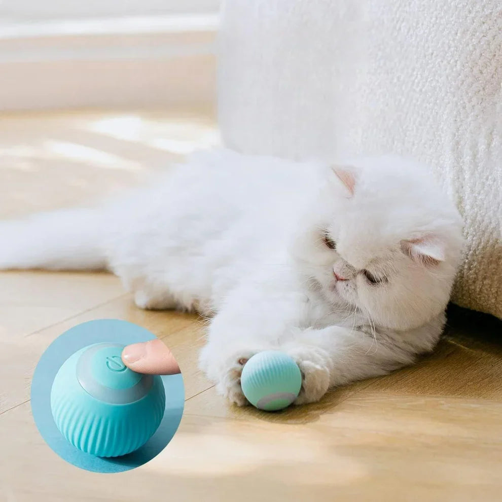 Urban™ CatSpin Ball
