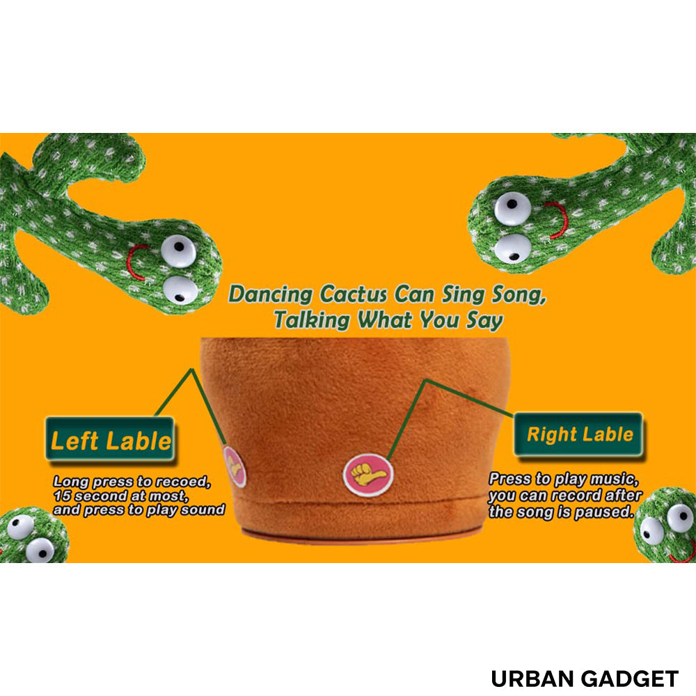 Urban™ RhythmPlant