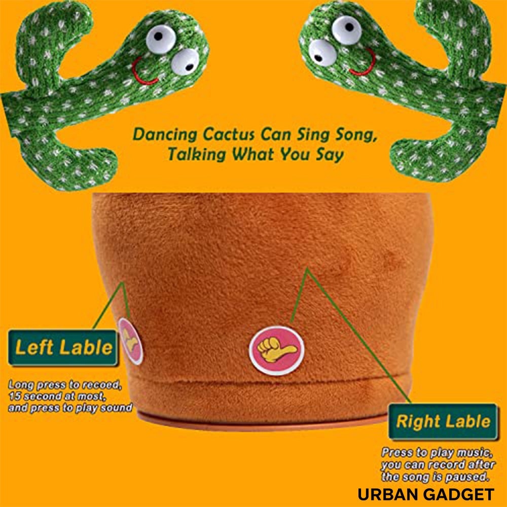 Urban™ RhythmPlant