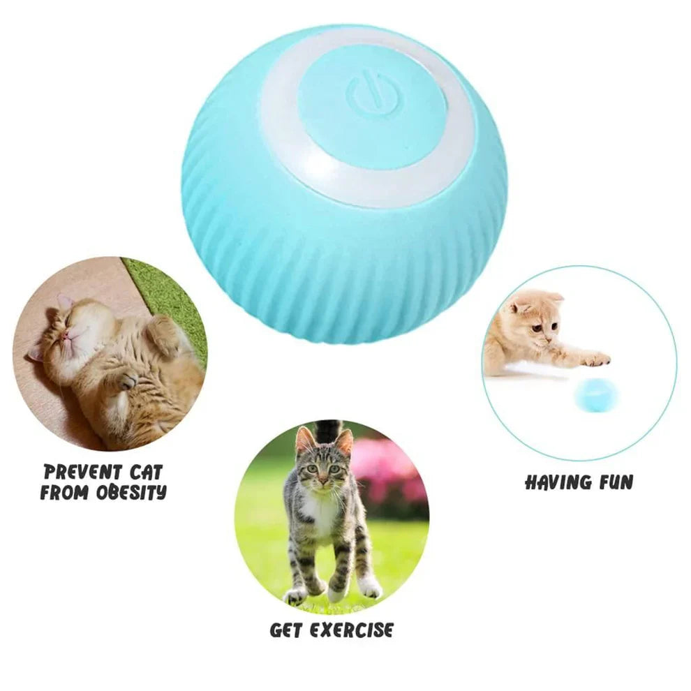 Urban™ CatSpin Ball