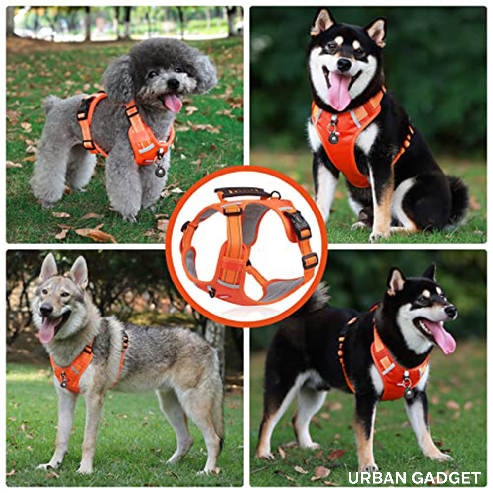 Urban™ PawsControl (Black)