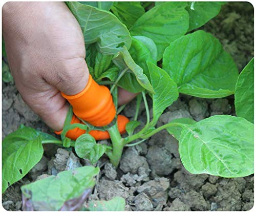 Urban™ Silicone Kitchen Protector