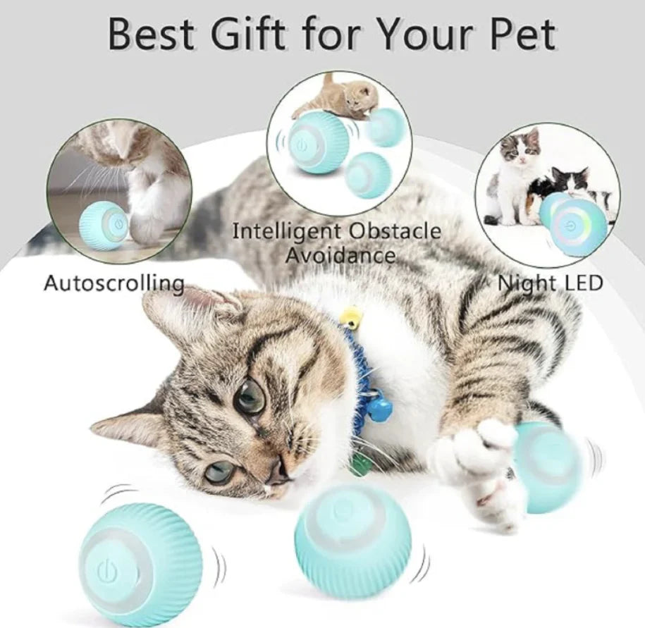 Urban™ CatSpin Ball