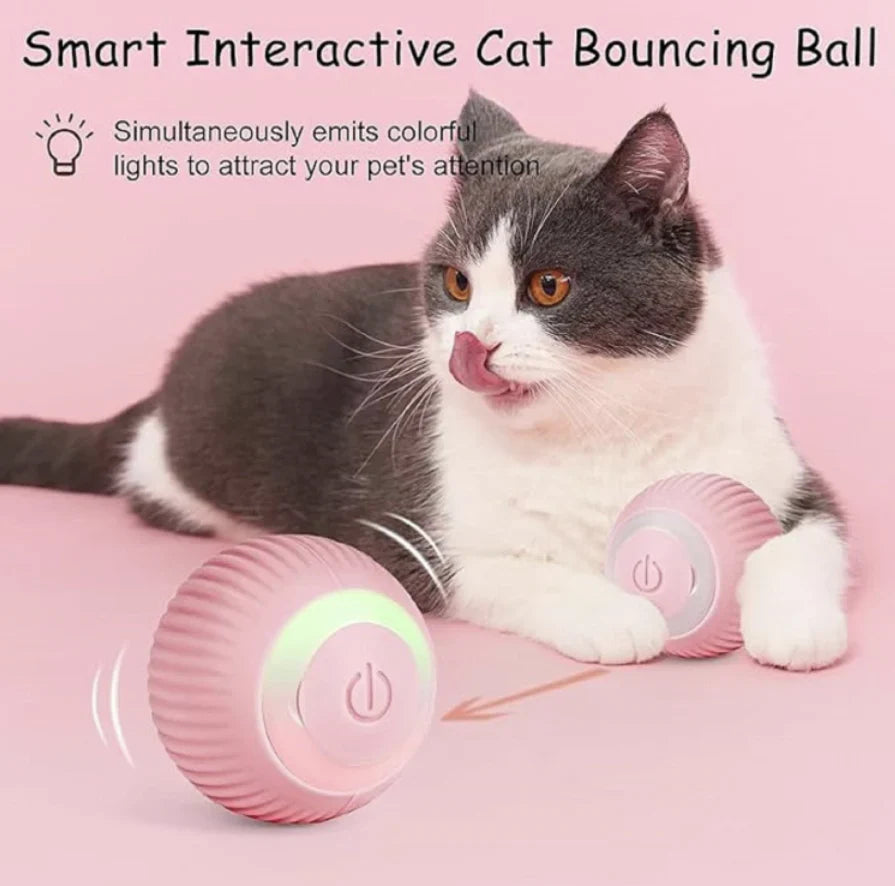 Urban™ CatSpin Ball
