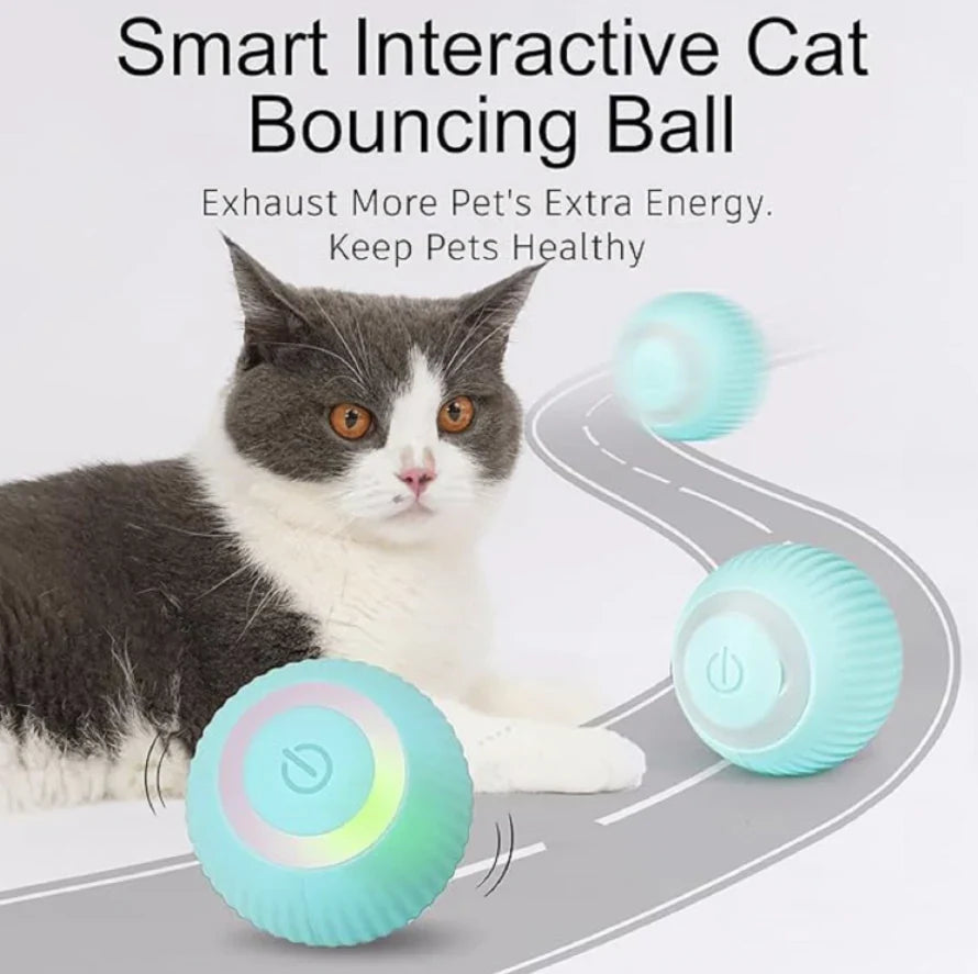 Urban™ CatSpin Ball