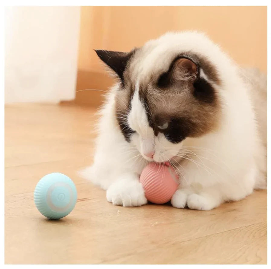 Urban™ CatSpin Ball
