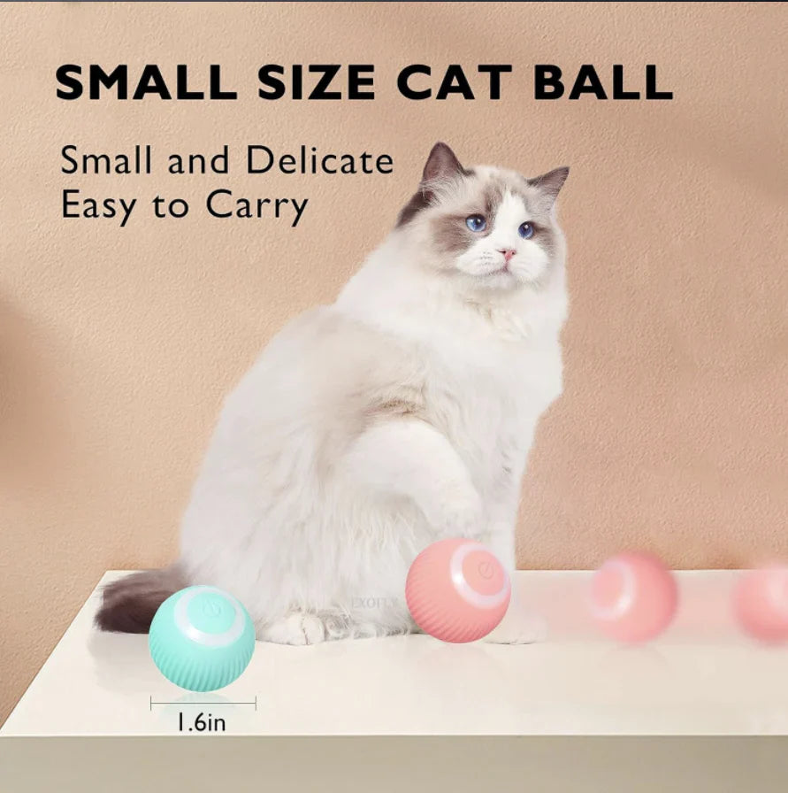 Urban™ CatSpin Ball