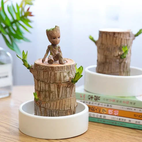 Urban™ Lucky Brazil Wood Potted Plant (Buy 1 Get 1 Free)